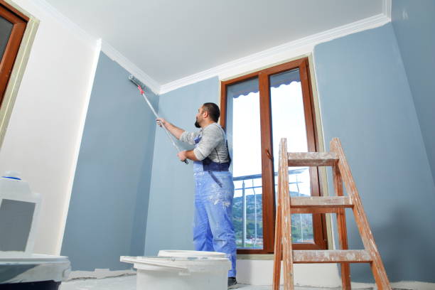 Best Basement Mold Removal  in Chesterbrook, PA