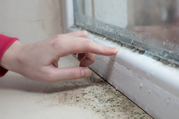 Best Post-Remediation Verification Testing  in Chesterbrook, PA