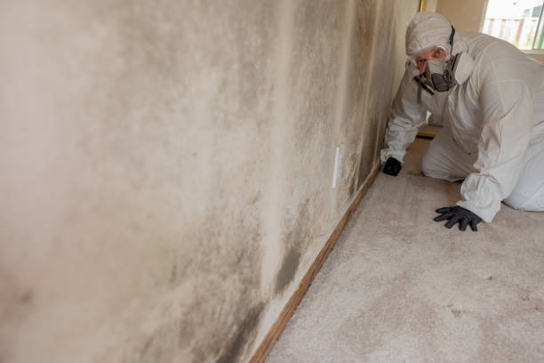 Best Dehumidification Services  in Chesterbrook, PA