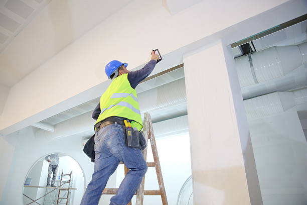 Trusted Chesterbrook, PA Mold Removal Experts